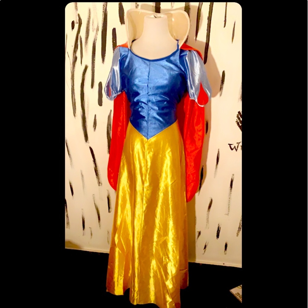Halloween Snow White adult costume